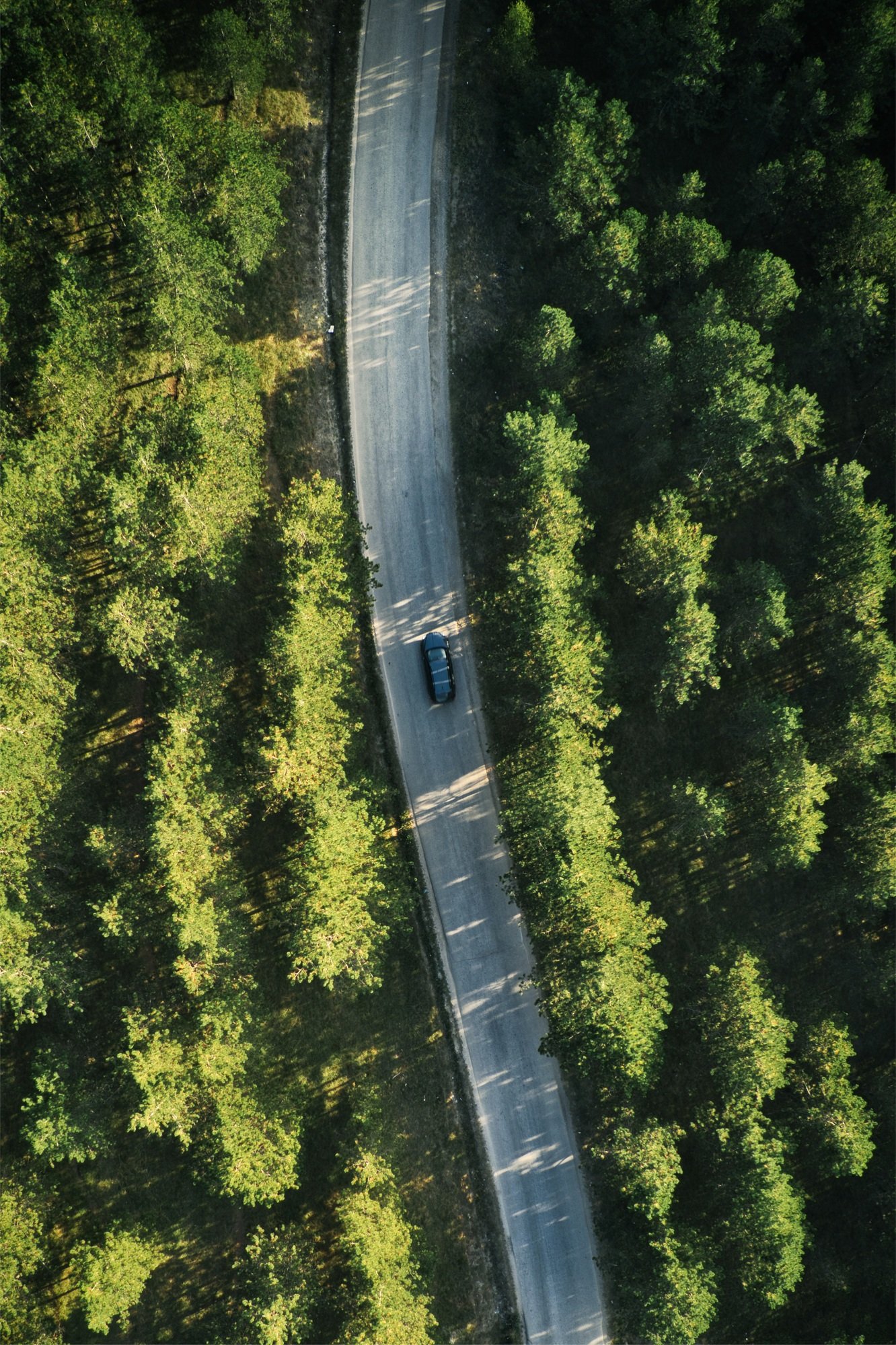 Top view of single gray car driving through forest in Zlatibor, Serbia
